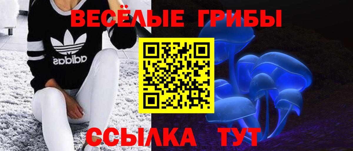 Галлюциногенные грибы мухоморы Миллерово